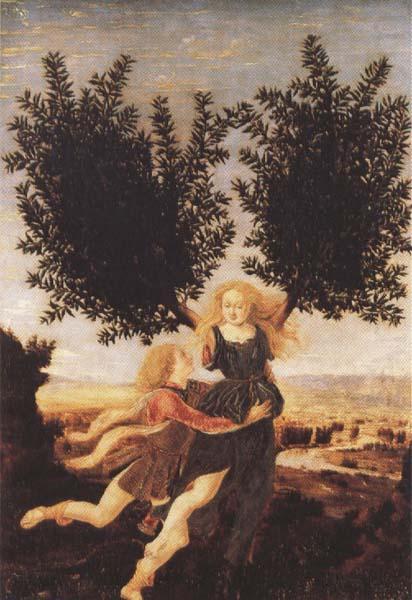 Antonio del Pollaiuolo Apollo and Daphne (mk45) china oil painting image